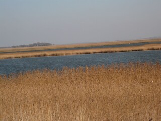 Bodden