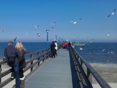  Kur- und Tourismus Zingst GmbH Zimmervermittlung