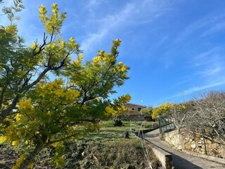 Appartement Poggi Imperia Buitenaudio-opname 4