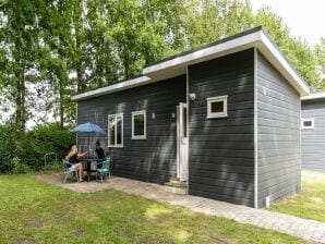 Holiday house Chalet for 4 guests in Schoonloo - Grolloo - image1