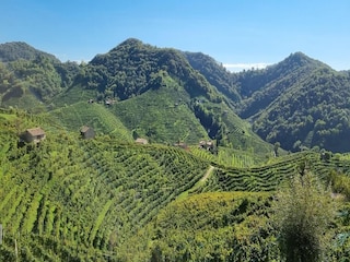 Apartment Miane Umgebung 31