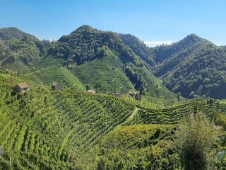 Appartement Miane Environnement 26