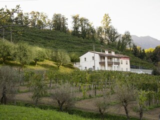 Appartamento Miane Registrazione all'aperto 5