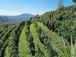 Apartment Miane Umgebung 20