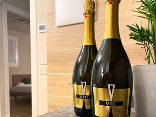 Appartamento Miane  39