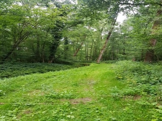 Apartment Miane Umgebung 38