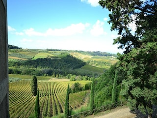 Ferienpark San Casciano Umgebung 25