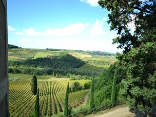 Vakantiepark San Casciano Omgeving 25