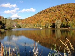 The forest lake in autumn