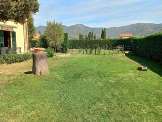 Vakantiehuis Castiglion Fiorentino Buitenaudio-opname 8