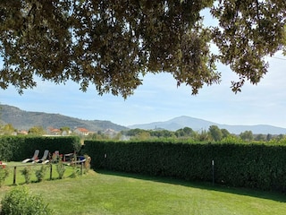 Ferienhaus Castiglion Fiorentino Außenaufnahme 12
