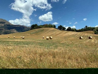 Casa de vacaciones Castiglion Fiorentino Entorno 36
