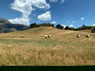 Vakantiehuis Castiglion Fiorentino Omgeving 37