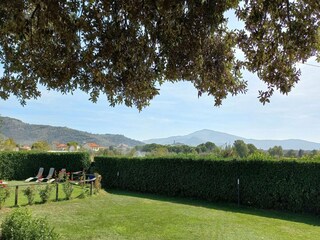 Ferienhaus Castiglion Fiorentino Außenaufnahme 6