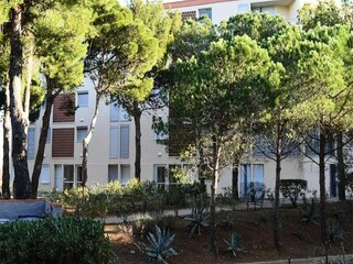 Apartment Banyuls-sur-Mer Features 9