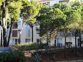 Appartement Banyuls-sur-Mer Équipement 9