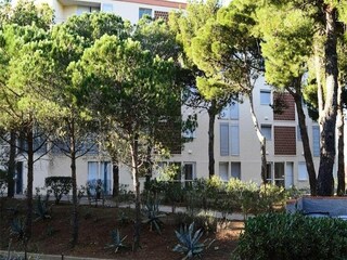 Apartment Banyuls-sur-Mer Features 20