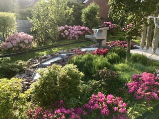 Wasserlauf an der Terrasse