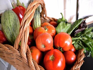 Maison de vacances Foiano della Chiana  37