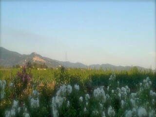 Casa per le vacanze Foiano della Chiana Ambiente 21