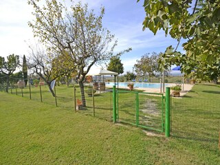 Casa per le vacanze Foiano della Chiana Registrazione all'aperto 8