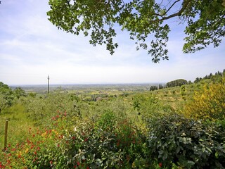 Casa per le vacanze Cortona Ambiente 39