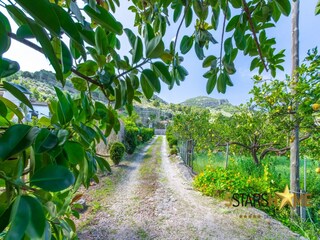 Holiday house Sóller Environment 35