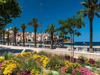Apartment Banyuls-sur-Mer  10