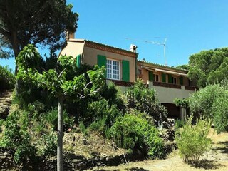 Apartment Banyuls-sur-Mer  19