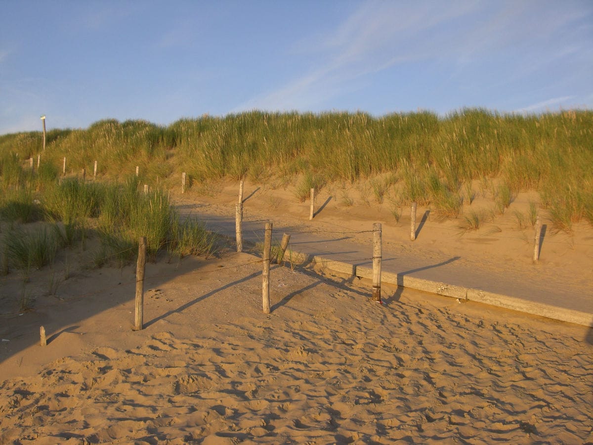 Auf dem Weg zum Strand