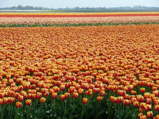 Bungalow Julianadorp Ambiente 15