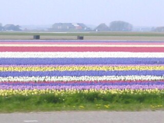 Bungalow Julianadorp Omgeving 16