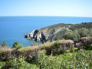Apartment Banyuls-sur-Mer  5