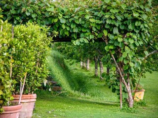 Vakantiehuisje Montecarlo Omgeving 30