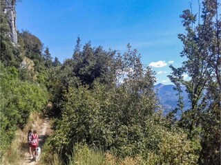 Cottage Uzzano Umgebung 32
