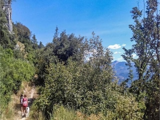 Vakantiehuisje Montecarlo Omgeving 25