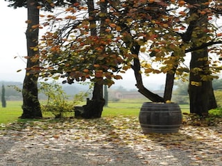 Cottage Uzzano Umgebung 20
