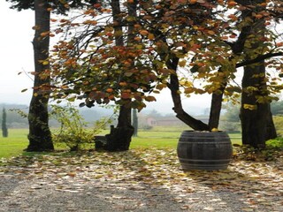 Cottage Uzzano Umgebung 22