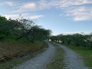 Cottage Uzzano Umgebung 24