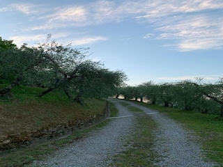 Cottage Uzzano Umgebung 35