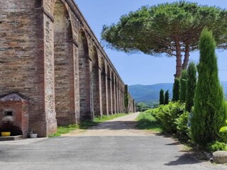 Holiday cottage Montecarlo Environment 40