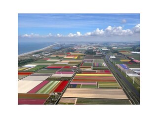 Appartamento per vacanze Petten Ambiente 17