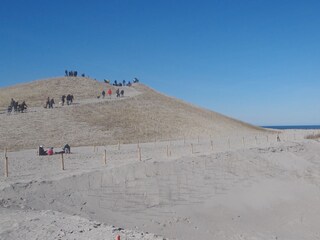 Appartamento per vacanze Petten Ambiente 12