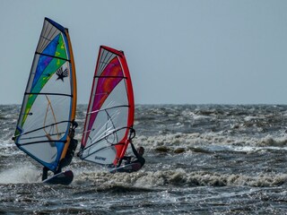 Appartamento per vacanze Petten Ambiente 15