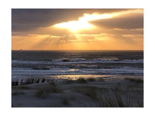 Appartamento per vacanze Petten Ambiente 23