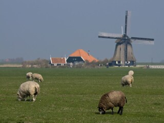 Appartamento per vacanze Petten Ambiente 18