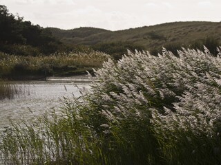 Appartamento per vacanze Petten Ambiente 21