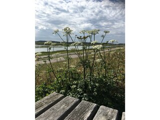 Appartamento per vacanze Petten Ambiente 20