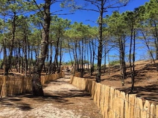 Ferienhaus Lacanau Umgebung 20