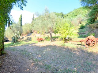 Cottage Massarosa Außenaufnahme 4